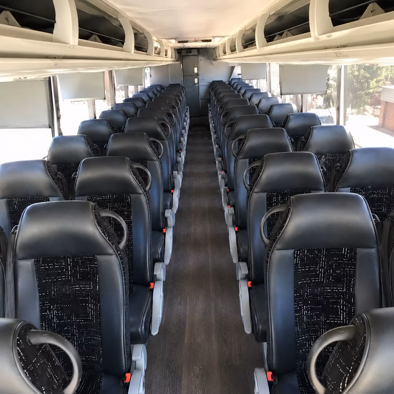 Laredo School Event Transportation party bus exterior